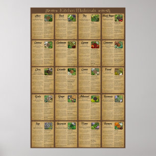 Kitchen Medicinals Poster