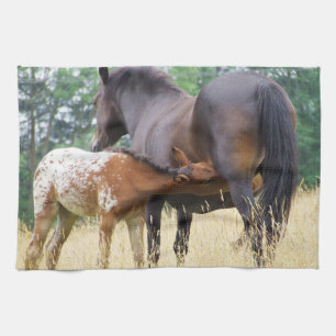 Kitchen Towel Mama Horse Feeding her Baby