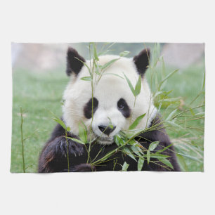 kitchen towel Photo giant panda , animals 0221.