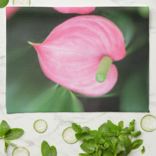Kitchen Towel - Pink Anthurium Twins