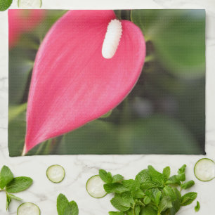 Kitchen Towel - Red Anthurium Twins