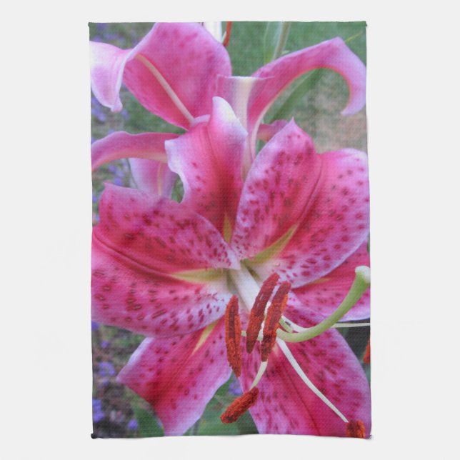 Kitchen Towel--Stargazers-2 Towel (Vertical)