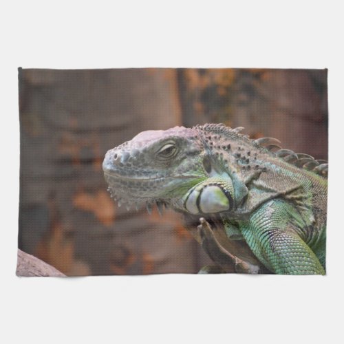 Kitchen towel with colourful Iguana lizard