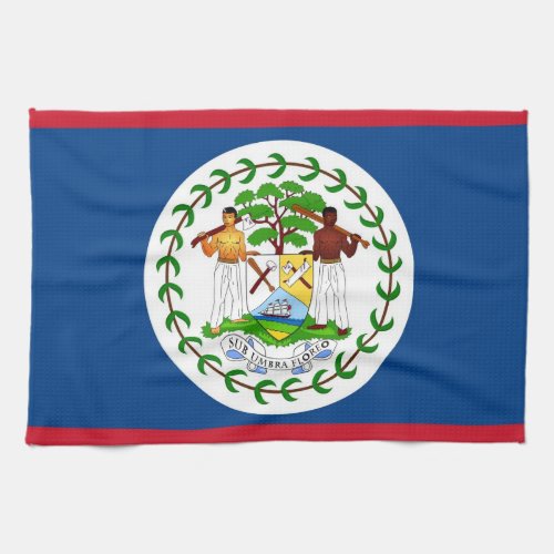 Kitchen towel with Flag of Belize