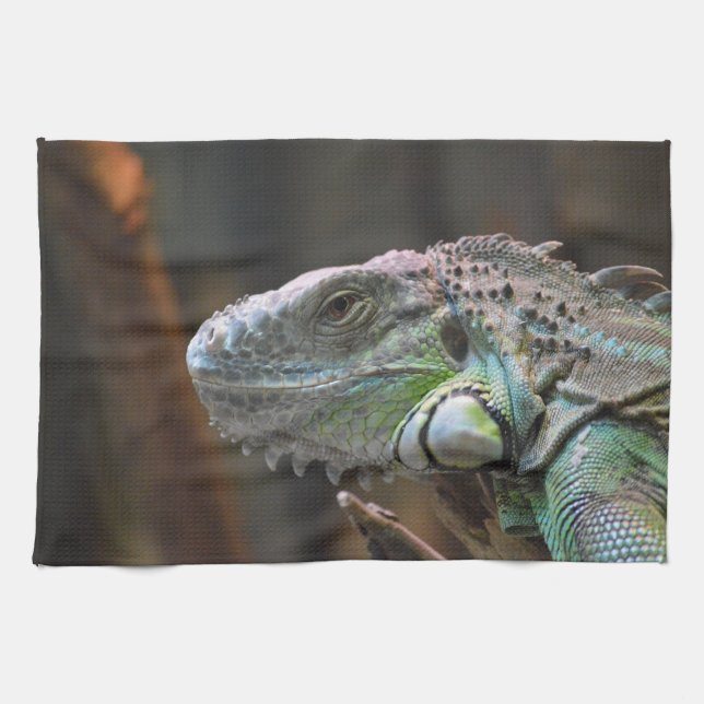 Kitchen towel with head of colourful Iguana lizard (Horizontal)