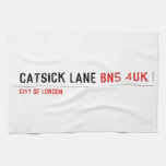 Catsick Lane  Kitchen Towels