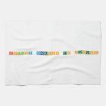 Follow Dragons to Success  Kitchen Towels