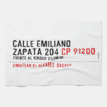 CALLE EMILIANO  ZAPATA 204  Kitchen Towels