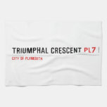 Triumphal Crescent  Kitchen Towels