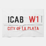 ICAB   Kitchen Towels