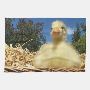 Kitchen Towels,holiday, home, funny animal geese Towel