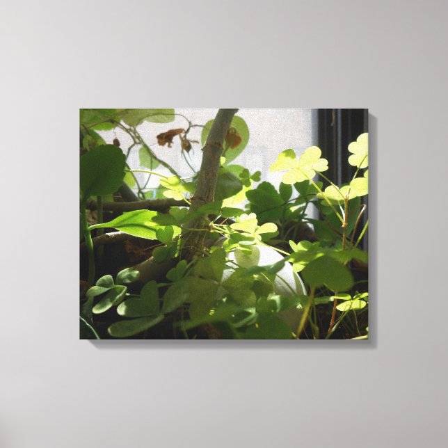 Kitchen Window Canvas Print (Front)