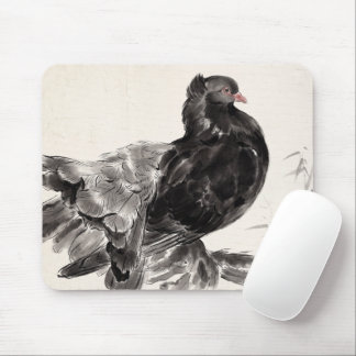 Kite an Indian Fantailed Pigeon Mouse Pad