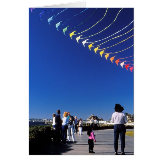 Kite Flying Cards (Front)