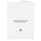 Kite Surfer on St. Pete Beach Postcard (Back)