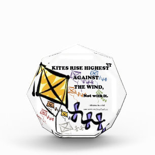 Kites Fly Highest Against The Wind - Not With It Award
