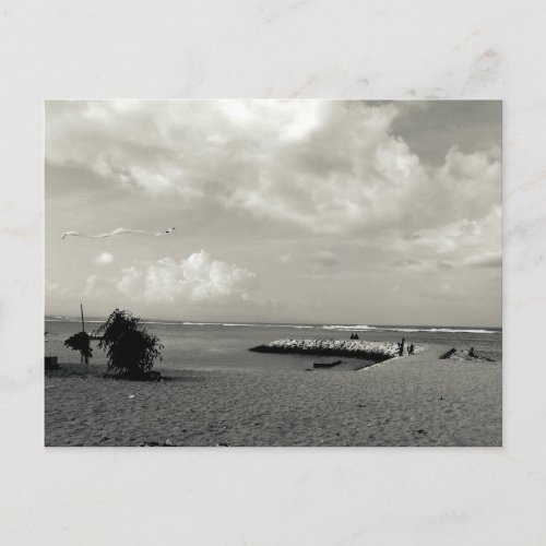 Kites Flying on a Bali Beach Postcard