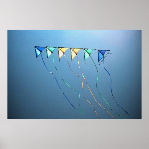 Kites in a Row 36 x 24 Poster