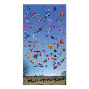 Kites Kites Kites In the Sky Photo Print