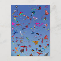 Kites Kites Kites In the Sky