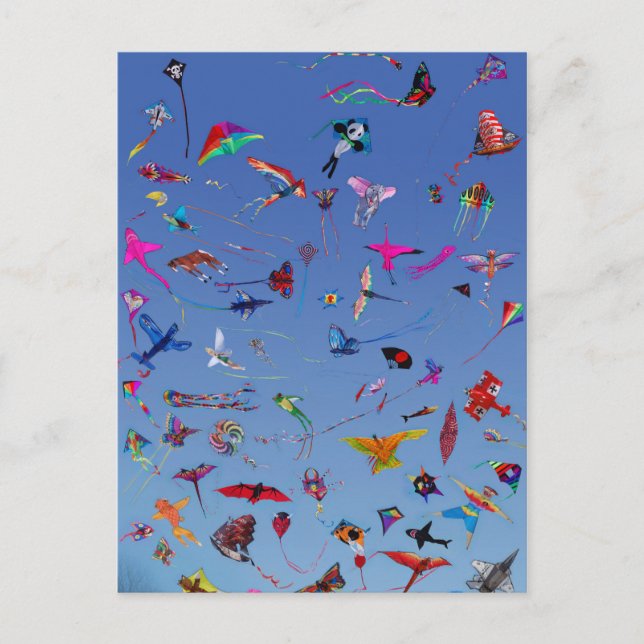 Kites Kites Kites In the Sky Postcard (Front)