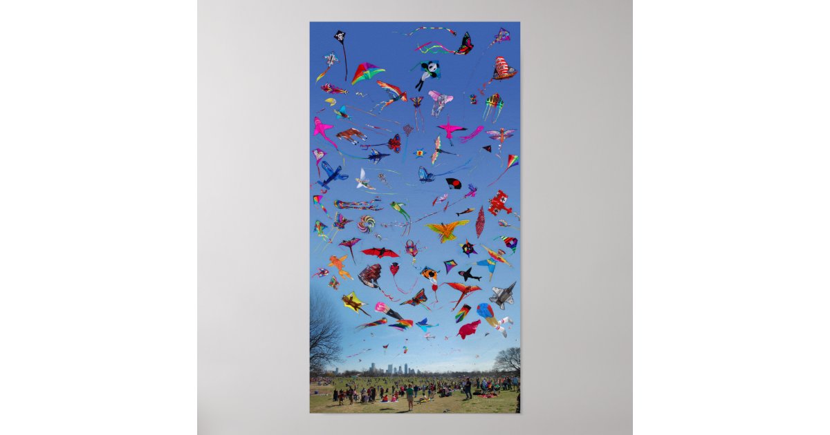 Kites Kites Kites In the Sky Poster Zazzle
