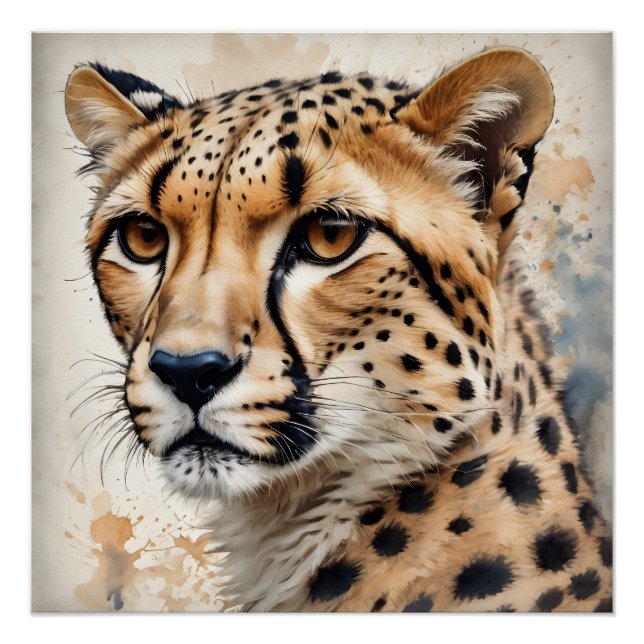 Kito the Cheetah | Swift Watercolor Wildlife Art Poster (Front)