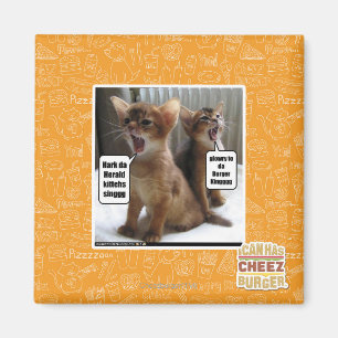 Kitteh carols magnet