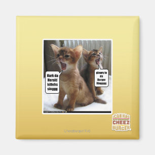 Kitteh carols magnet