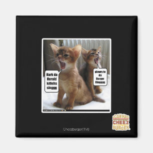 Kitteh carols magnet