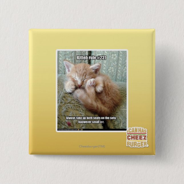 Kitteh rule #231 button (Front)