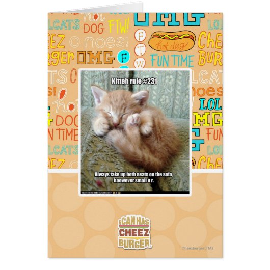 Kitteh rule #231 cards (Front)