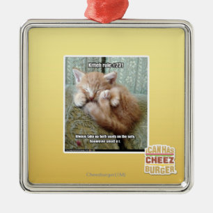 Kitteh rule #231 metal ornament