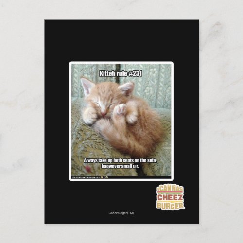 Kitteh rule 231 postcard