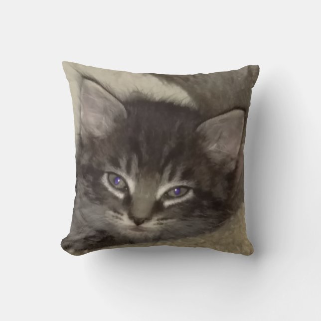 Kitten 2-Sided Pillow (Front)