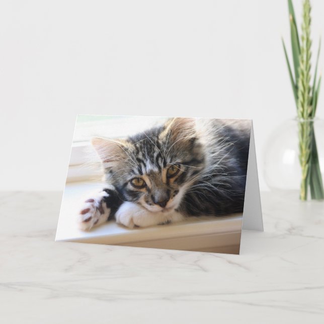 Kitten All About You Mother's Day Card (Front)