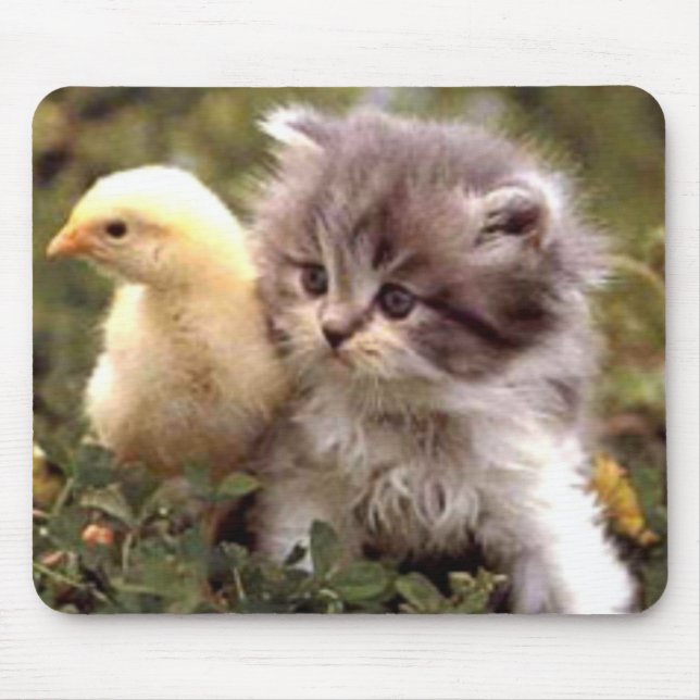 Kitten and Baby Chick Mouse Pad (Front)