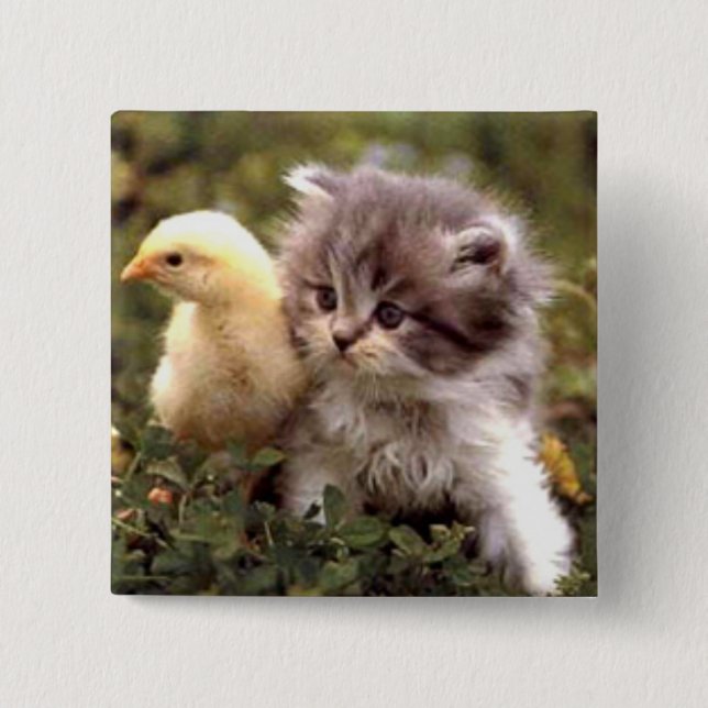 Kitten and Baby Chick Pinback Button (Front)