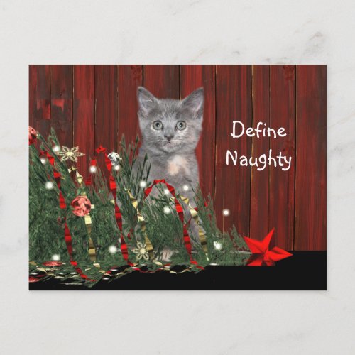 Kitten and dead Christmas tree Holiday Postcard