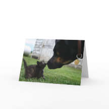 Kitten and dog encouragement greeting card