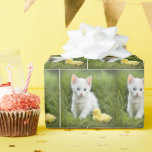Kitten and Duckling In Grass Wrapping Paper