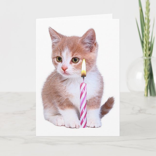 Kitten and one pink candle card (Front)