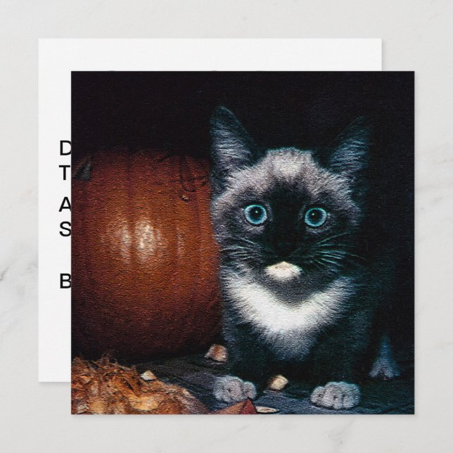 Kitten and Pumpkin for Halloween Invitation (Front/Back)