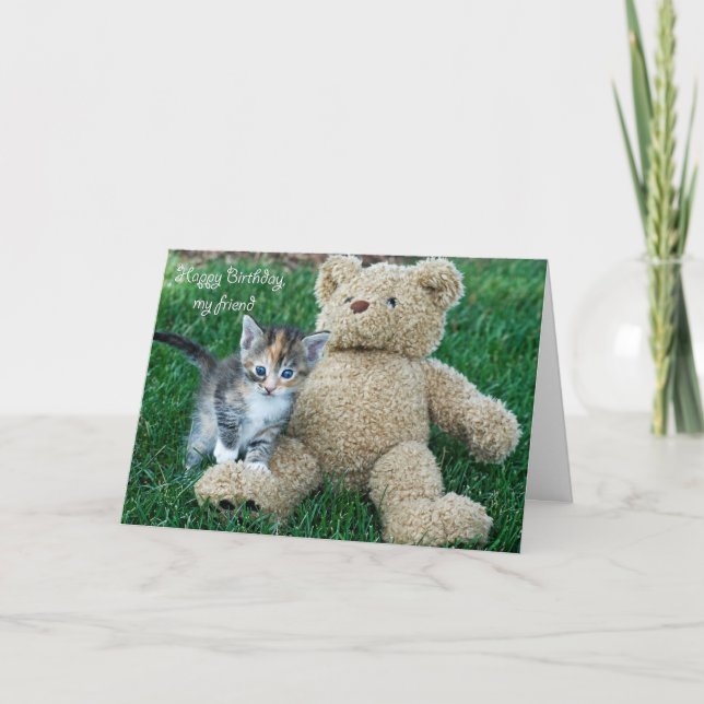 Kitten and Teddy Bear Friends Card (Front)
