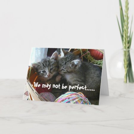 Kitten Anniversary Card