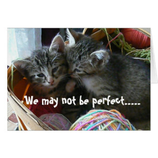 Kitten Anniversary Card