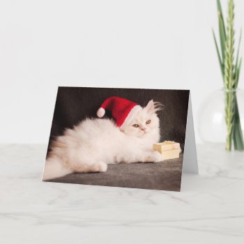 Kitten As Santa Holiday Card by Angel86 at Zazzle