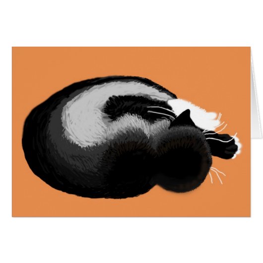 kitten asleep (Front Horizontal)