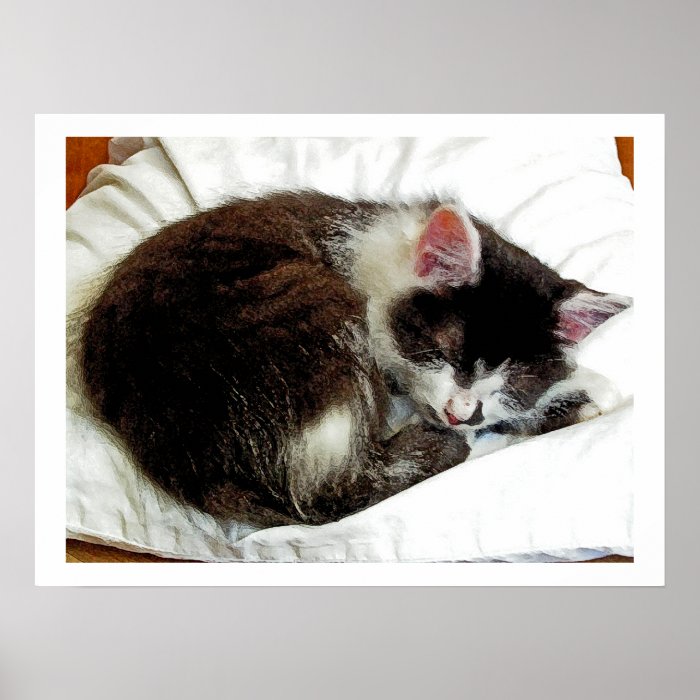 Kitten asleep on White Comforter Print
