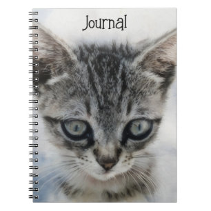Kitten Baby Cat Art Journal Notebook